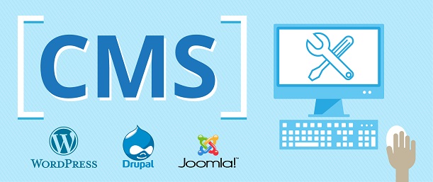 Website Designing and CMS Requirements